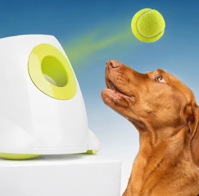 Interactive Automatic Dog Ball Launcher with Tennis Balls