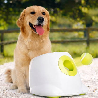 Interactive Automatic Dog Ball Launcher with Tennis Balls