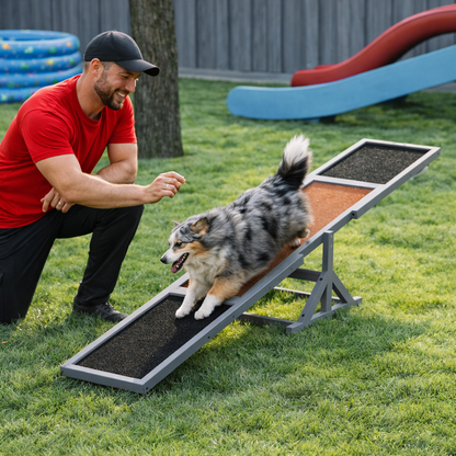Large Dog Agility Seesaw – Training Equipment for Dogs