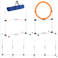 Dog Agility Training Set with Weave Poles, Hurdle, Hoop & Pause Box