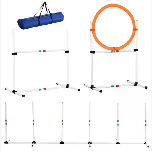 Dog Agility Training Set with Weave Poles, Hurdle, Hoop & Pause Box