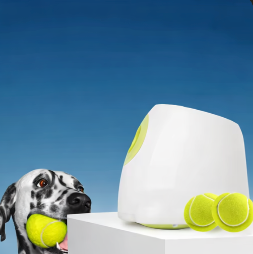 Interactive Automatic Dog Ball Launcher with Tennis Balls
