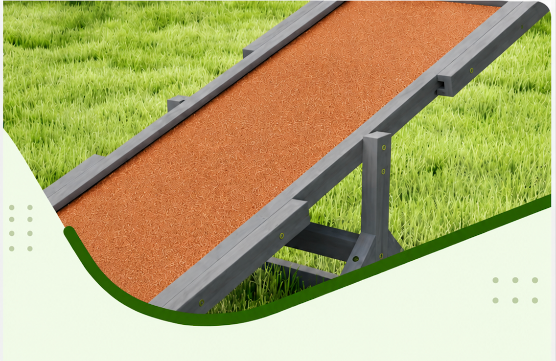 Large Dog Agility Seesaw – Training Equipment for Dogs