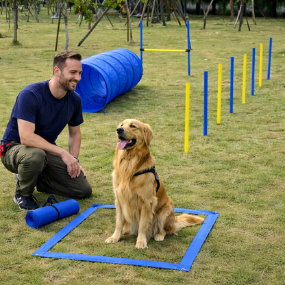 Dog Agility Training Set with Tunnel, Weave Poles, Jump Hurdle & Pause Box