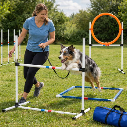 Dog Agility Training Set with Weave Poles, Hurdle, Hoop & Pause Box